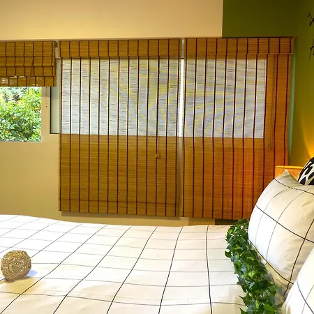 Urbanjungle-studio σε ξέφωτο μες στην πόλη شقة *