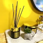 Urbanjungle-studio σε ξέφωτο μες στην πόλη 帕特雷