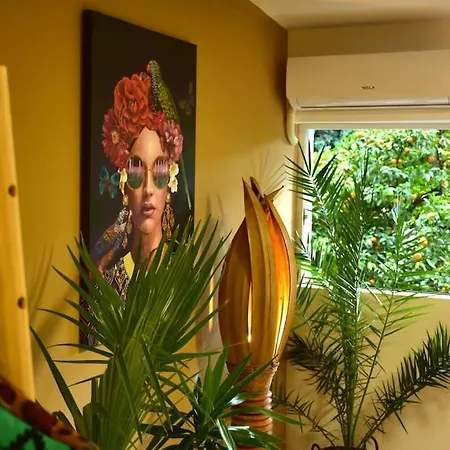 Urbanjungle-studio σε ξέφωτο μες στην πόλη Patras