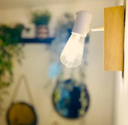 Urbanjungle-studio σε ξέφωτο μες στην πόλη *