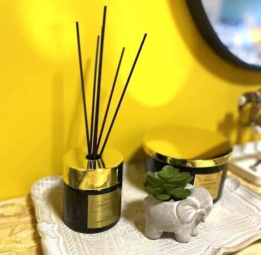 Urbanjungle-studio σε ξέφωτο μες στην πόλη 파트라
