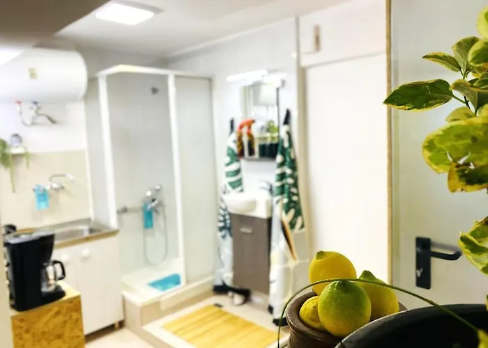 아파트 Urbanjungle-studio σε ξέφωτο μες στην πόλη 파트라