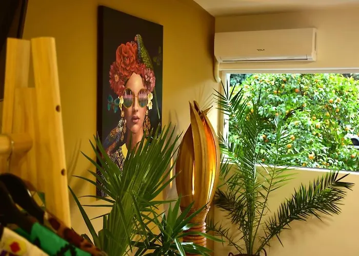 Urbanjungle-studio σε ξέφωτο μες στην πόλη Patras